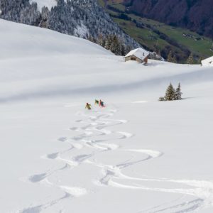 Skitechnik Kurs buchen