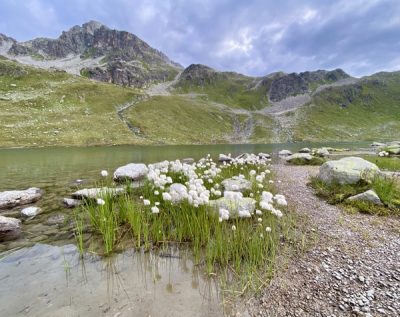 Piz Kesch Trail-Tour Trail Running Kesch Bergsee