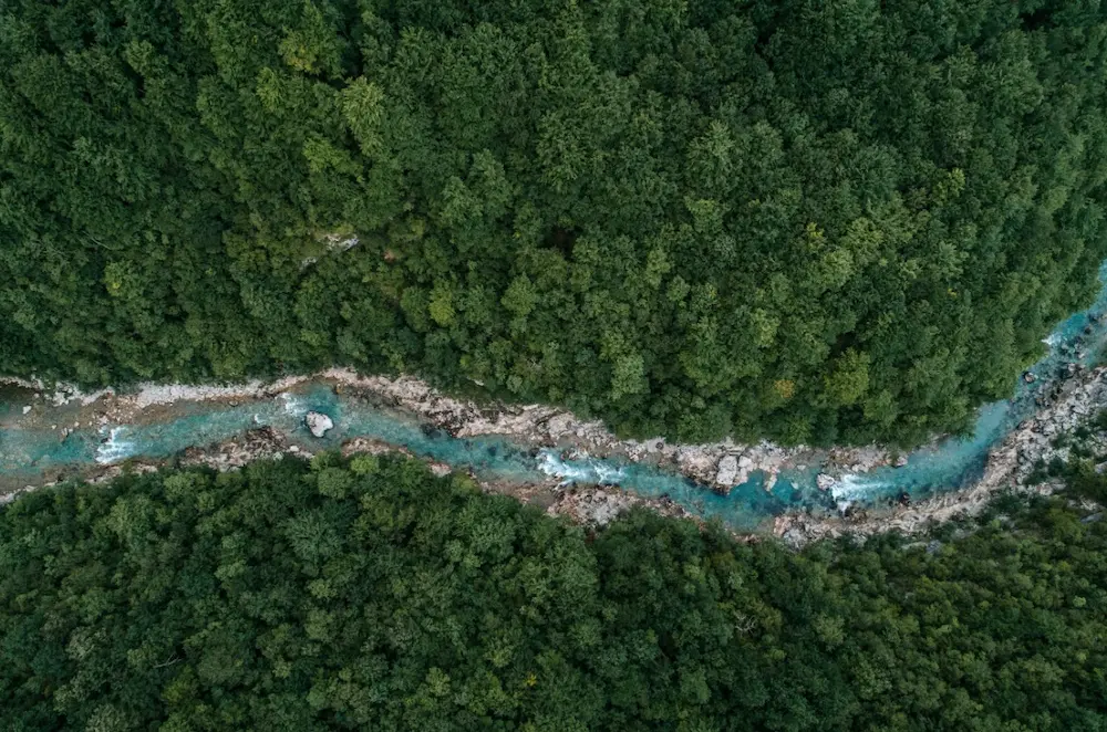 Natur Coaching Waldbaden