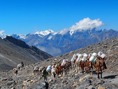 Rund um die Annapurna - Trekking: Vom fruchtbaren Tal bis zum 5415 m hohen Thorong La, spektakuläre Landschaften und Nepal in all seinen Kontrasten.